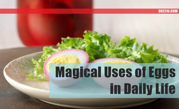 Magical Uses of Eggs in Daily Life0031