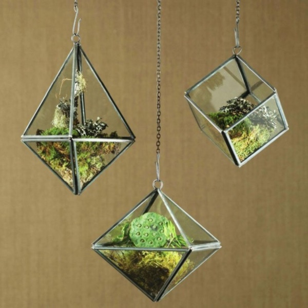 Magical Terrarium ideas to install in Your Home0041