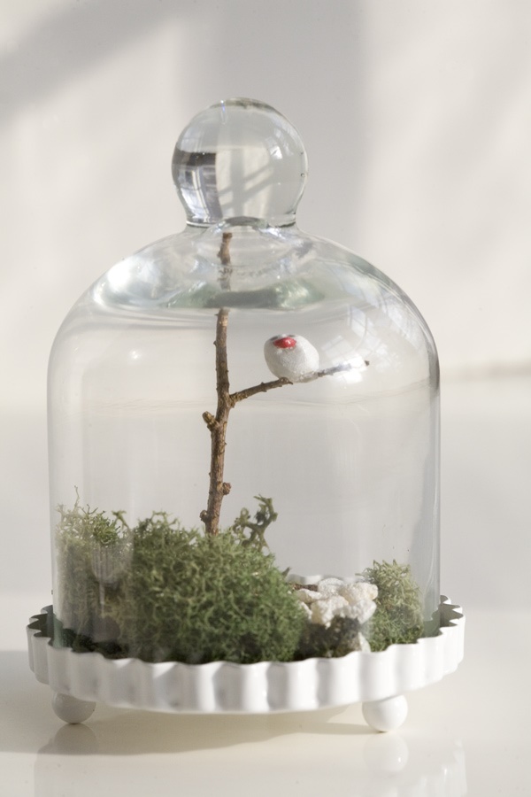 Magical Terrarium ideas to install in Your Home0051