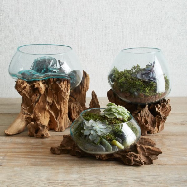 Magical Terrarium ideas to install in Your Home0091