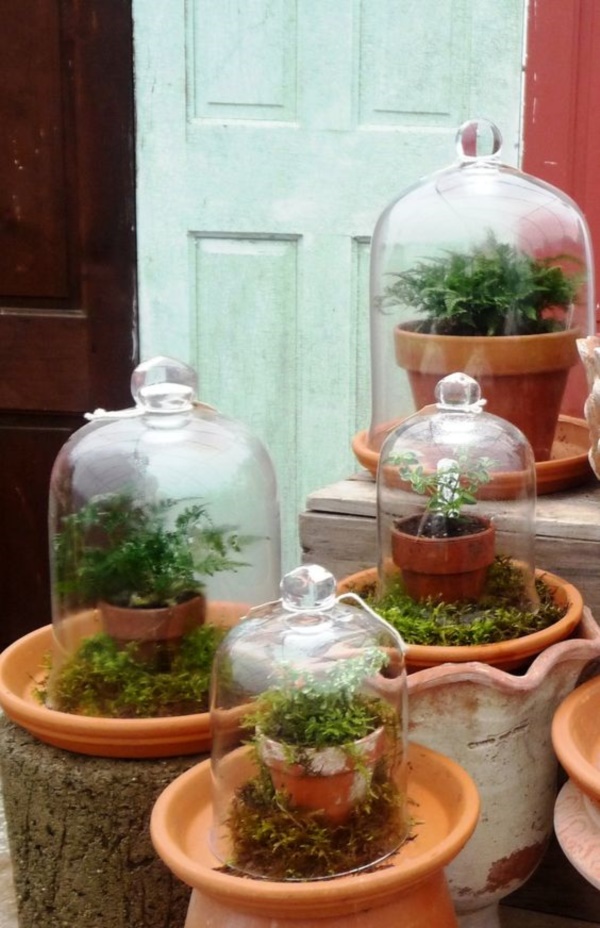 Magical Terrarium ideas to install in Your Home0101