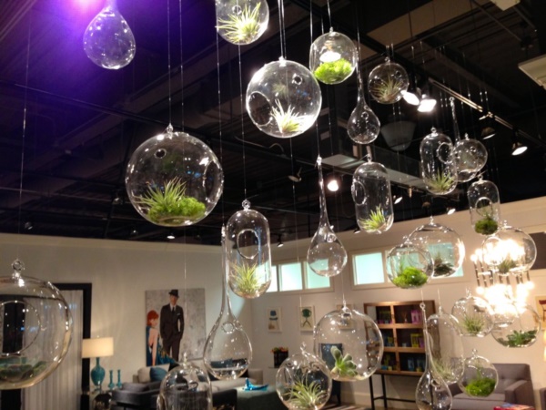Magical Terrarium ideas to install in Your Home0111