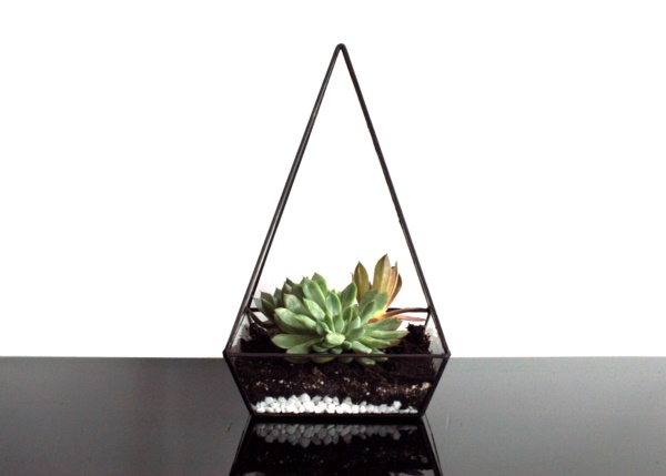 Magical Terrarium ideas to install in Your Home0131