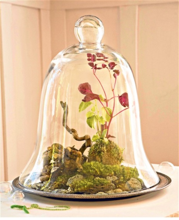 Magical Terrarium ideas to install in Your Home0151
