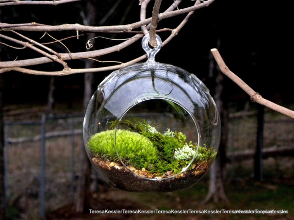 Magical Terrarium ideas to install in Your Home0181