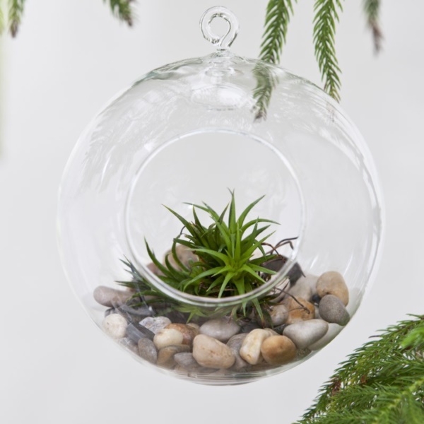 Magical Terrarium ideas to install in Your Home0311