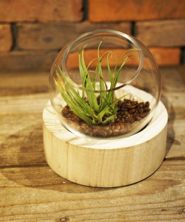 Magical Terrarium ideas to install in Your Home0391