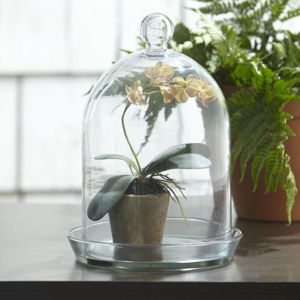 Magical Terrarium ideas to install in Your Home0421