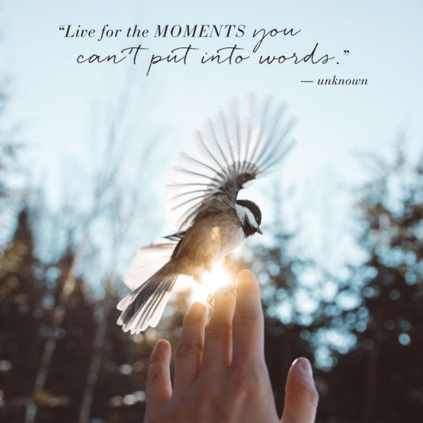 40 Living in the Moment Quotes & Photography Ideas - Buzz 2018
