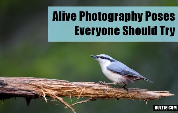 Alive Photography Poses Everyone Should Try0441