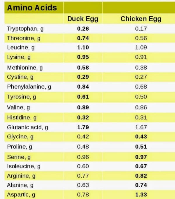 Magical Uses of Eggs in Daily Life0001