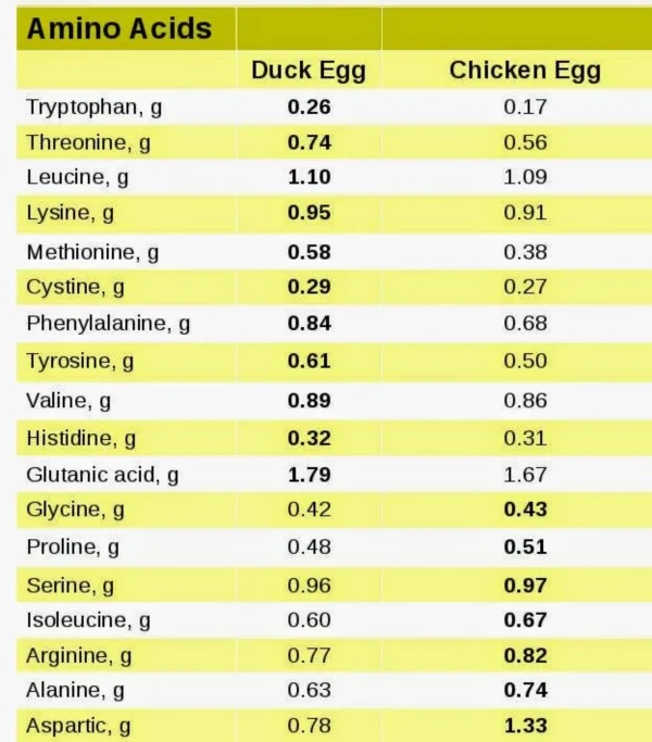 Magical Uses of Eggs in Daily Life0001