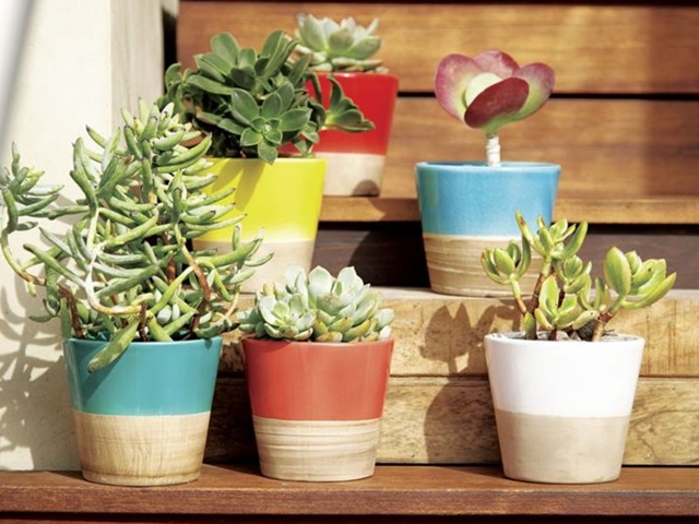 50 Mini indoor Garden Ideas for anyone
