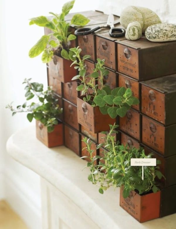 mini indoor gardens ideas for anyone0071