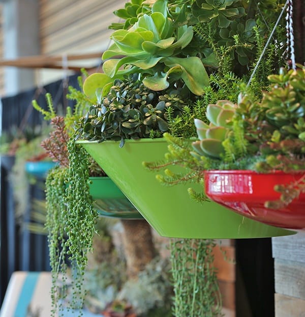 mini indoor gardens ideas for anyone0391