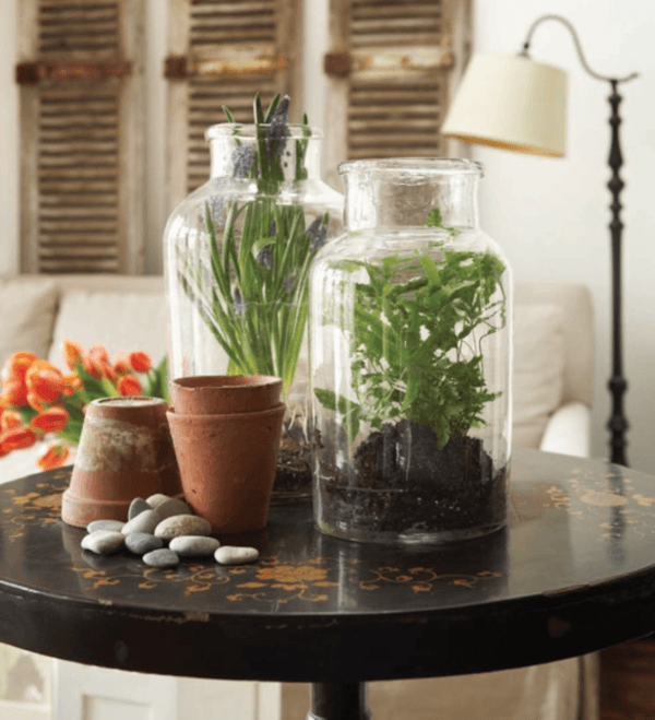 mini indoor gardens ideas for anyone0481