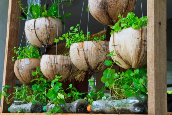 mini indoor garndens ideas for anyone0011