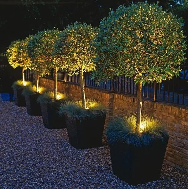 Borderline Genius Backyard Design Ideas (40)