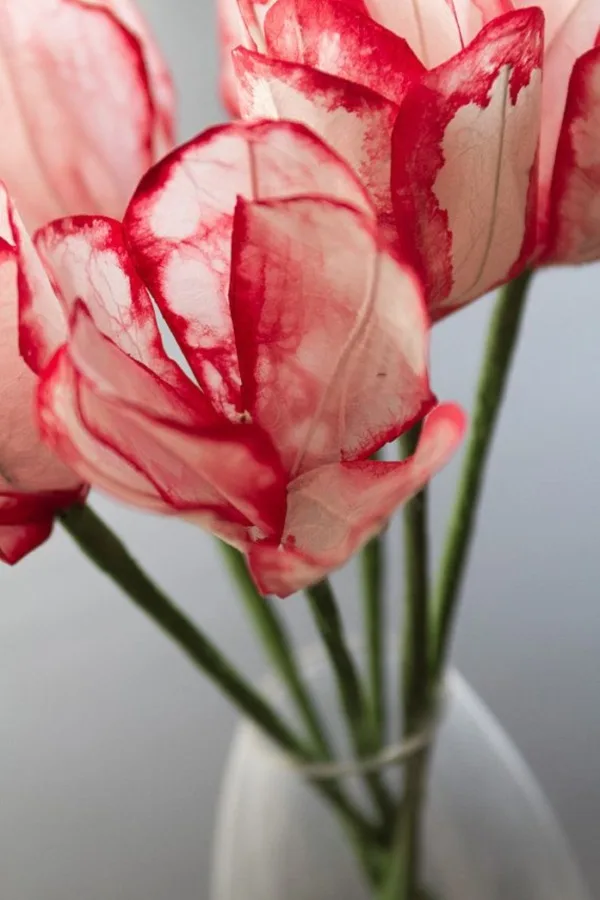 Creative and Useful paper flower Ideas0061