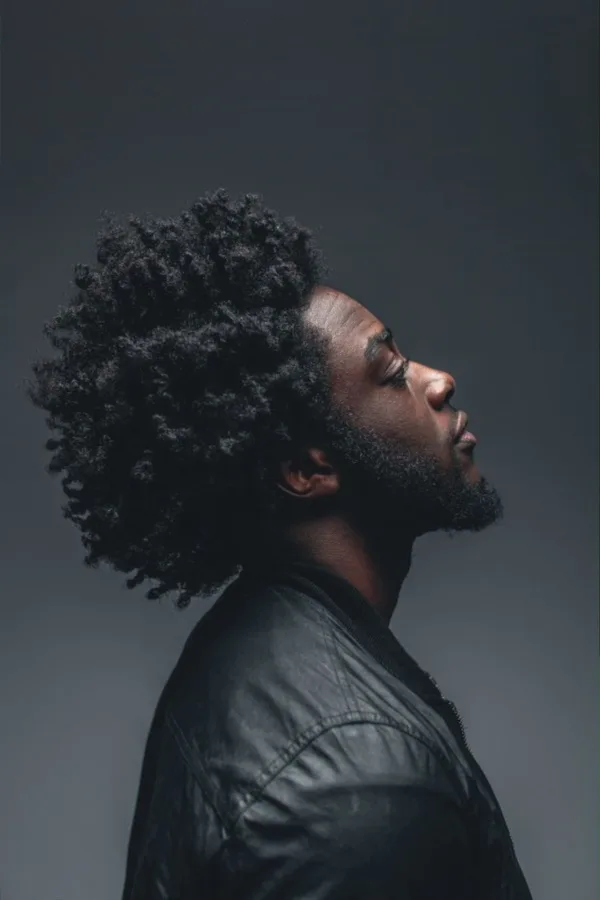Latest  Hairstyles for Kinky Hair0391