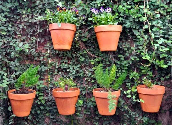 Beautiful and Safe garden privacy ideas0081