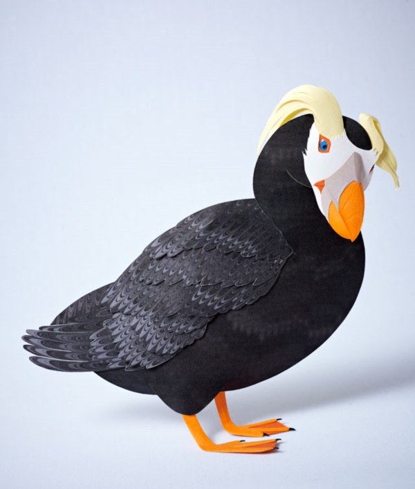 A  3D paper cut image of a tufted puffin for Seattle Aquarium by papaer sculptor Gail Armstrong
