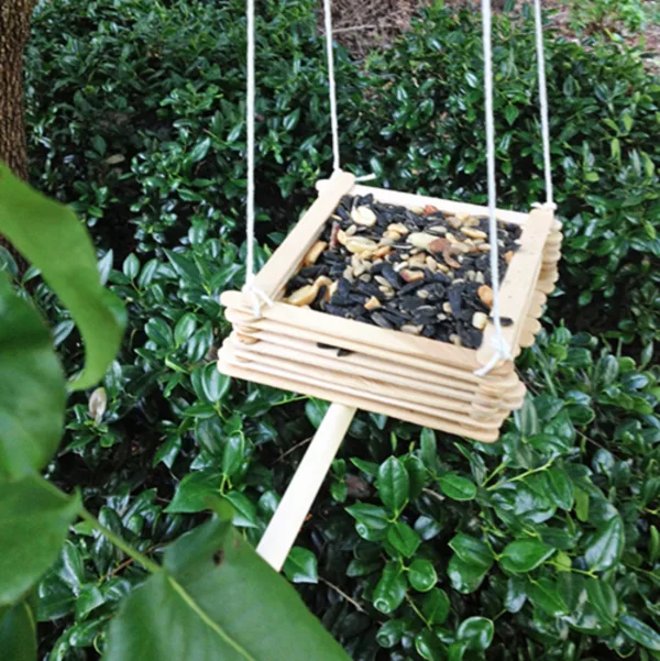 birds feeder0001