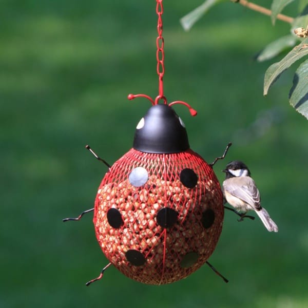 magical birds feeders to attract birds on your garden0031