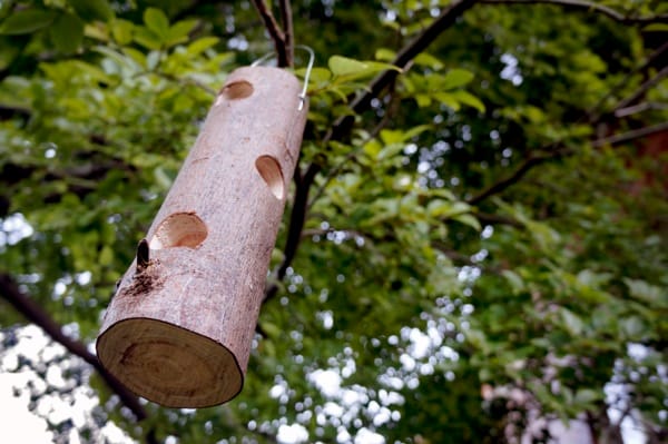 magical birds feeders to attract birds on your garden0051