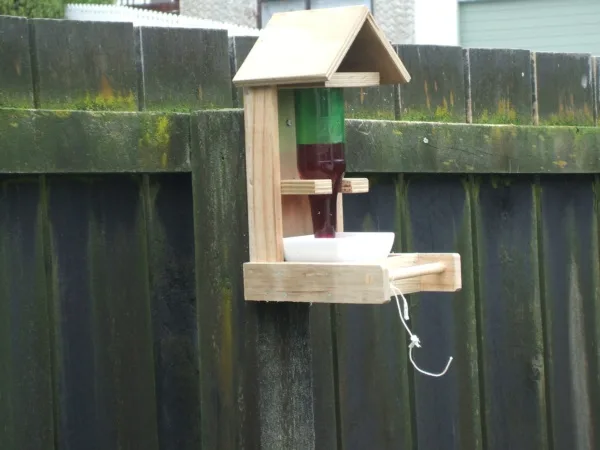 magical birds feeders to attract birds on your garden0061