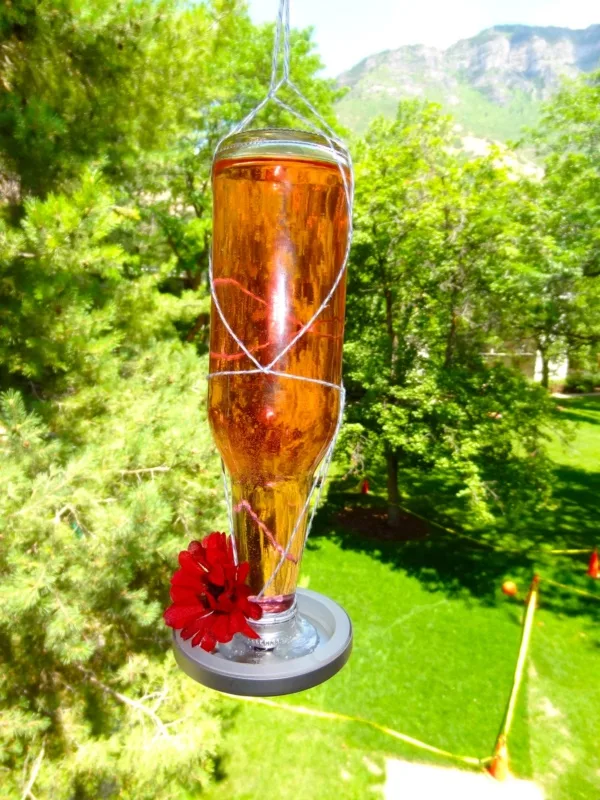 magical birds feeders to attract birds on your garden0071