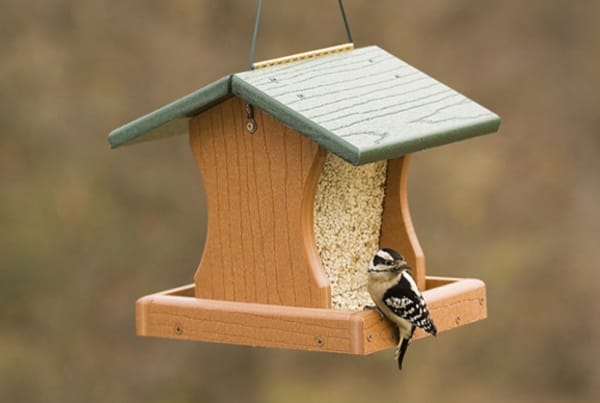 magical birds feeders to attract birds on your garden0131