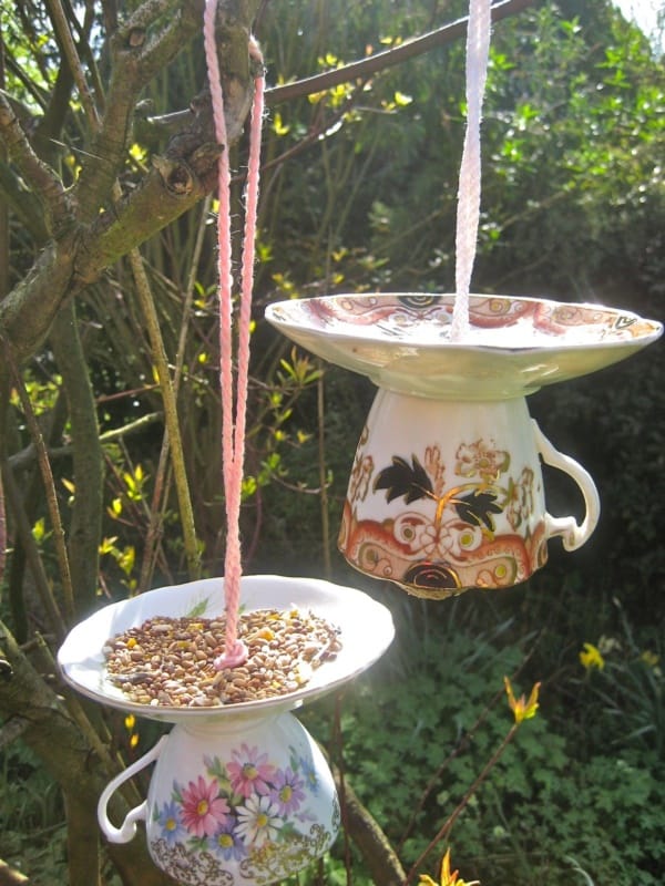 magical birds feeders to attract birds on your garden0141