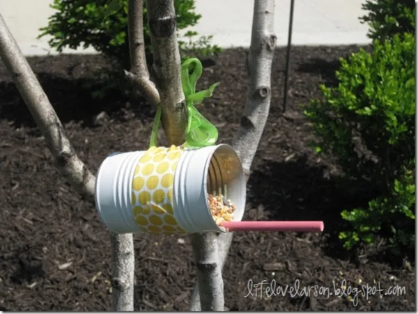 magical birds feeders to attract birds on your garden0161