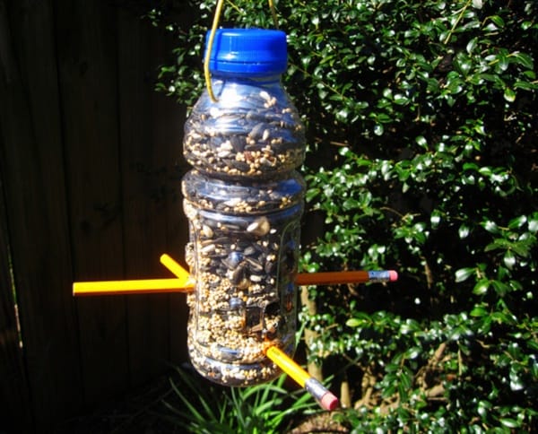 magical birds feeders to attract birds on your garden0181