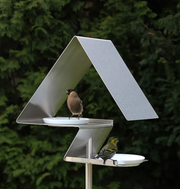 magical birds feeders to attract birds on your garden0211