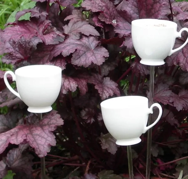 magical birds feeders to attract birds on your garden0221
