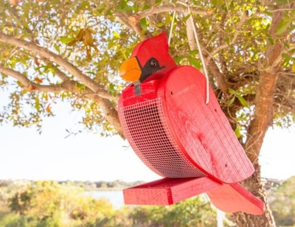 magical birds feeders to attract birds on your garden0231