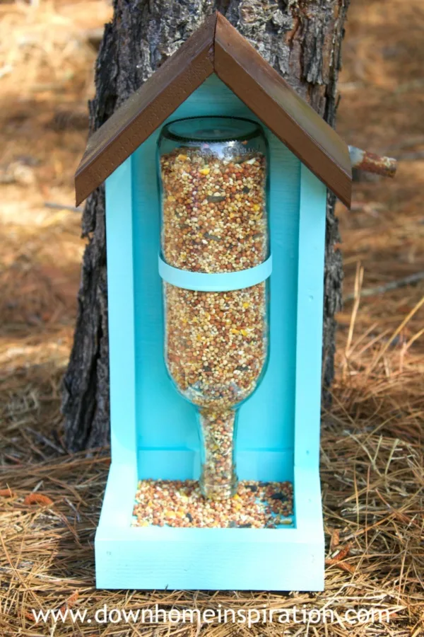 magical birds feeders to attract birds on your garden0261