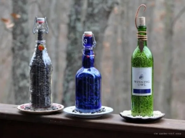 magical birds feeders to attract birds on your garden0271