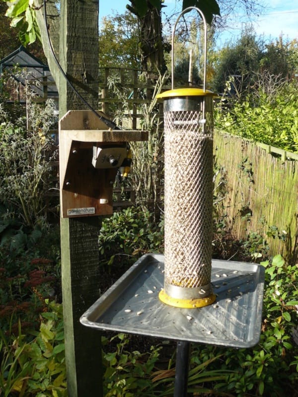 magical birds feeders to attract birds on your garden0291