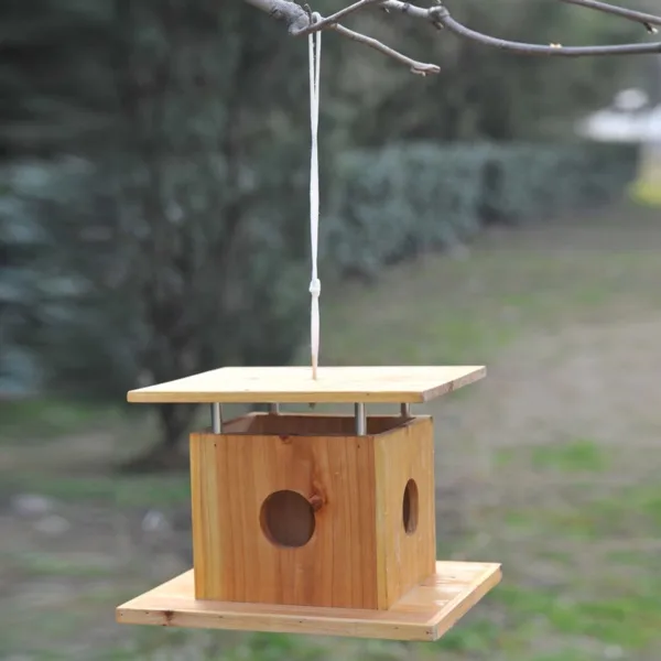magical birds feeders to attract birds on your garden0341