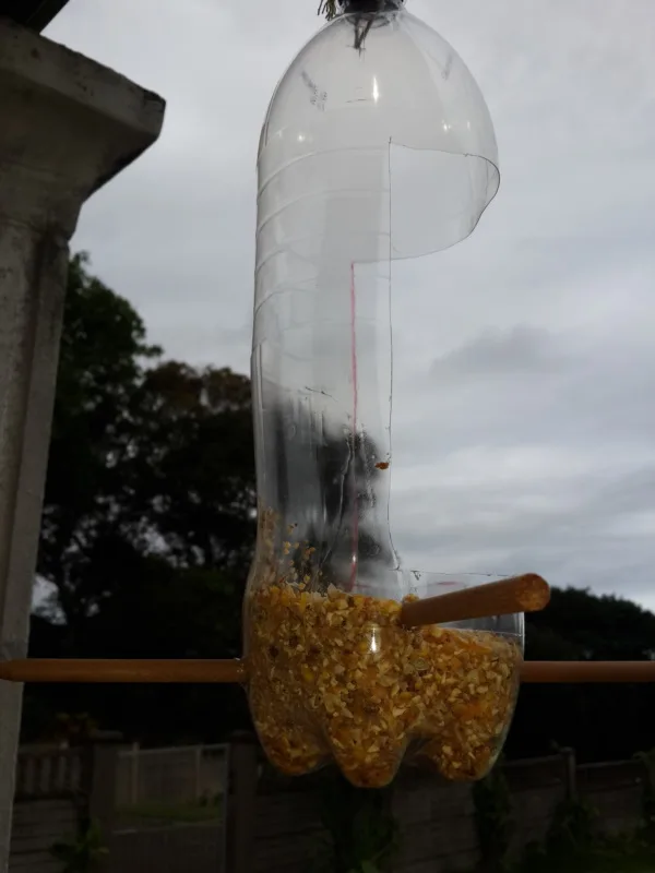 magical birds feeders to attract birds on your garden0361