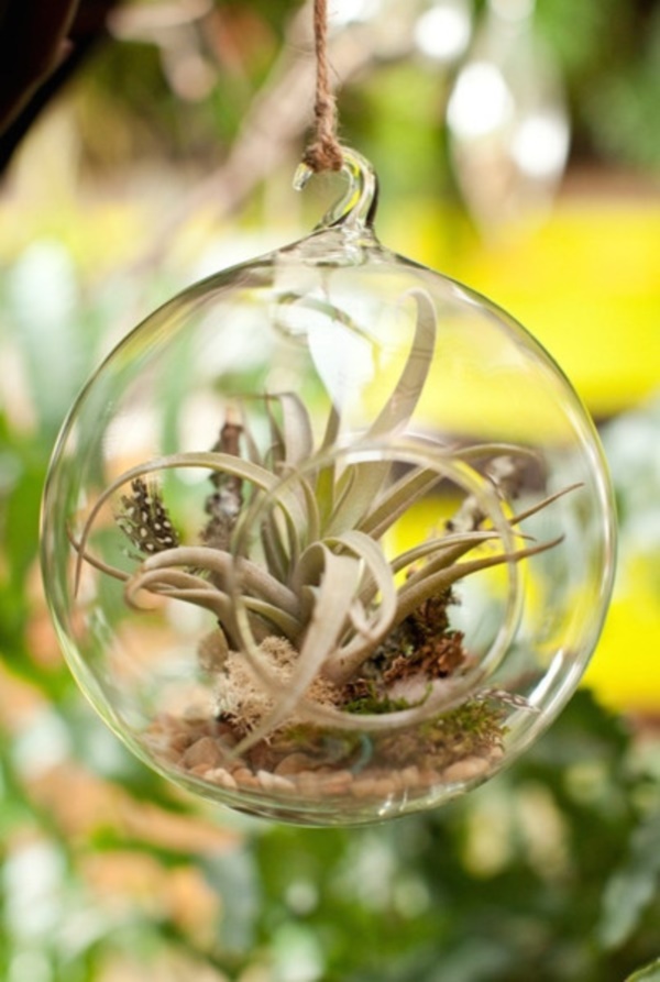 Magical Terrarium ideas to install in Your Home0021