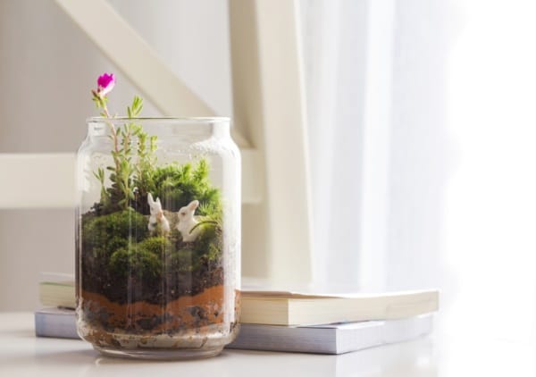 Bottle garden decoration in the living room