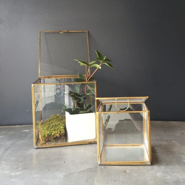 Magical Terrarium ideas to install in Your Home0221