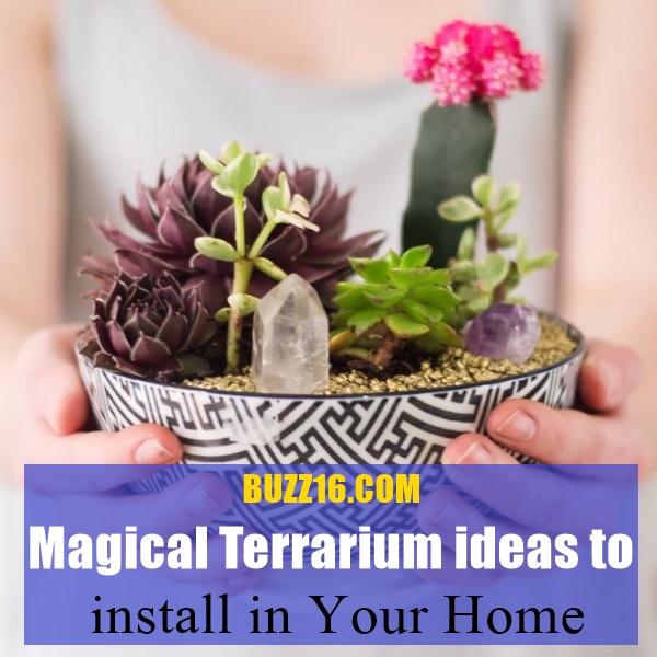 Magical Terrarium ideas to install in Your Home0321