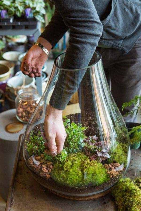 Magical Terrarium ideas to install in Your Home0361
