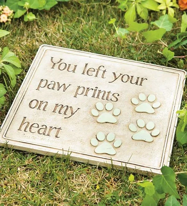 Funny Pet signs to Honor Your Four Legs Buddy - (1)