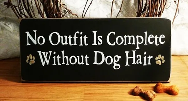Funny Pet signs to Honor Your Four Legs Buddy - (10)